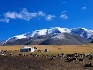 Why Is Mongolia Called “The Land of the Eternal Blue Sky”?