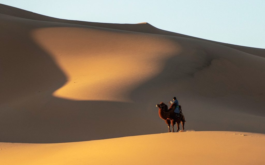 Gobi desert tour